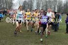 Senior mens Inter Counties Cross Country, Prestwold Hall, Loughborough. Photo: David T. Hewitson/Sports for All Pics